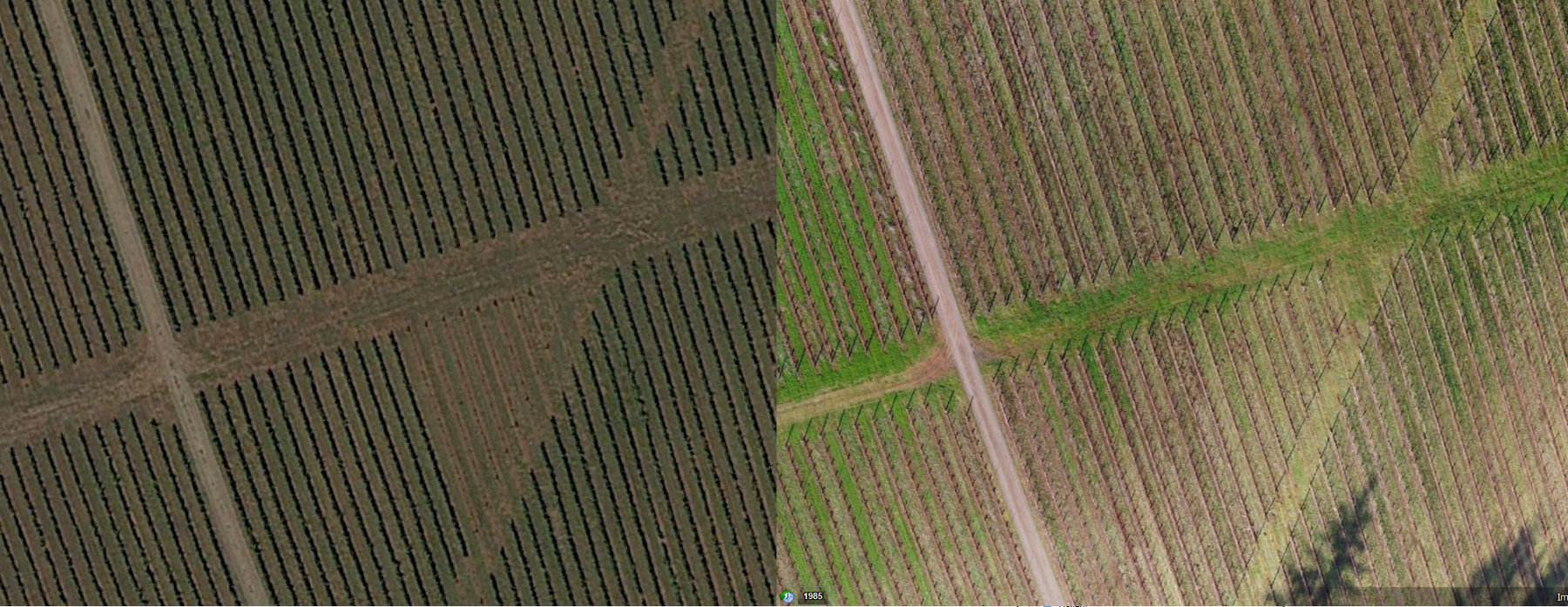 Orthophoto (Left) vs Google Earth (Right)