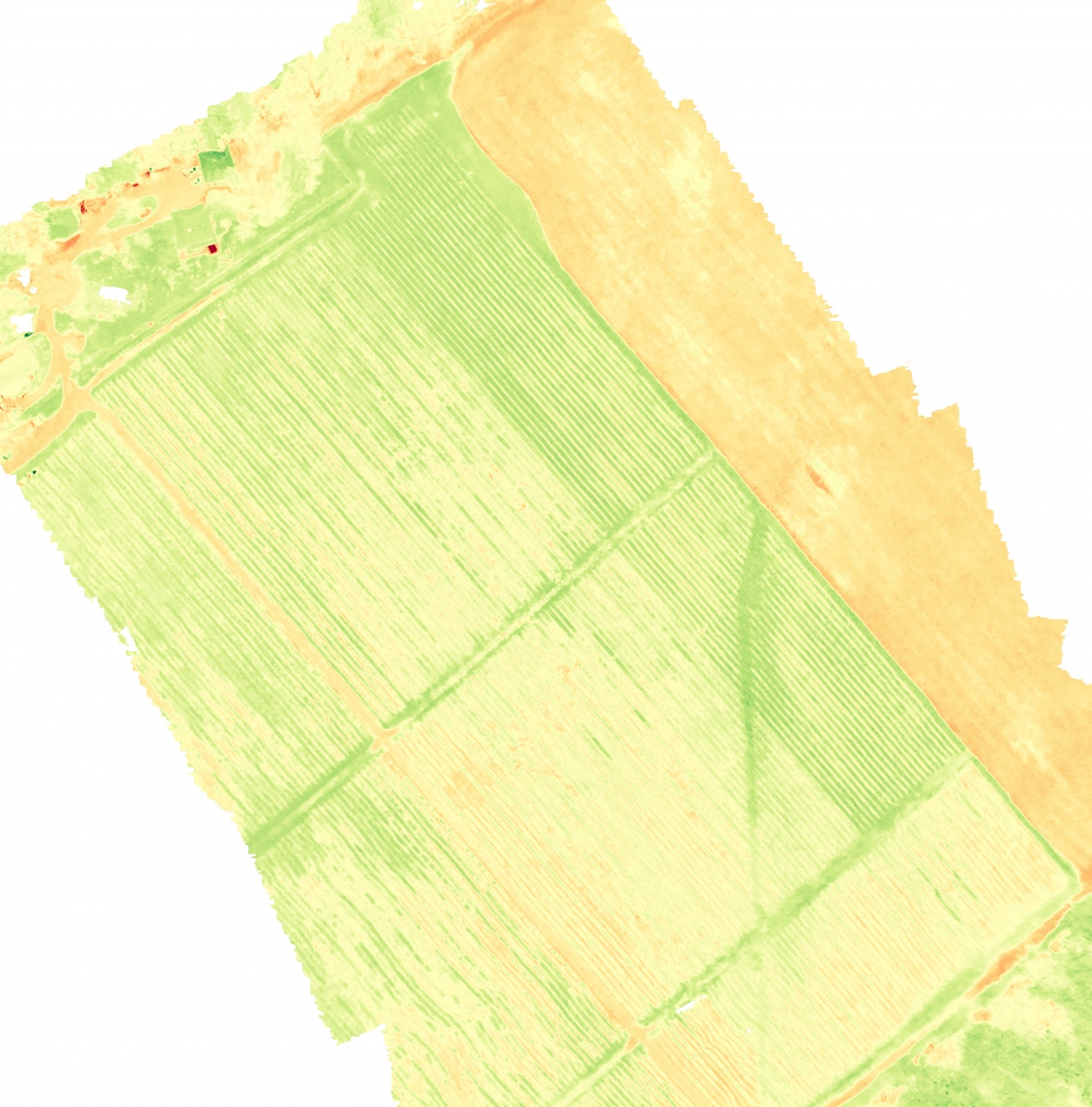 vineyard_orthophoto-VARI